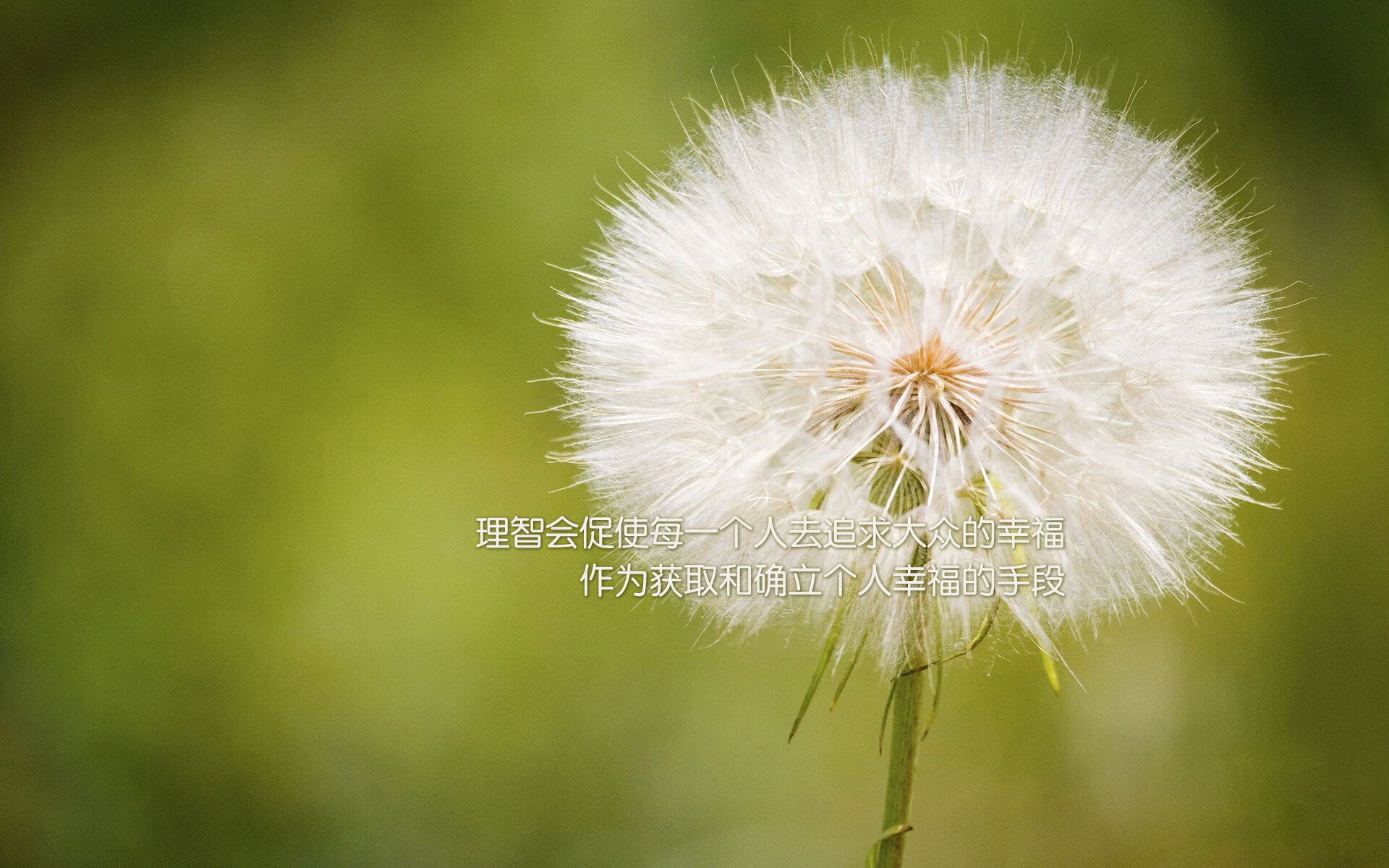 法甲青训心理训练促进压力下技术动作的学习效果，法甲青训最好的球队