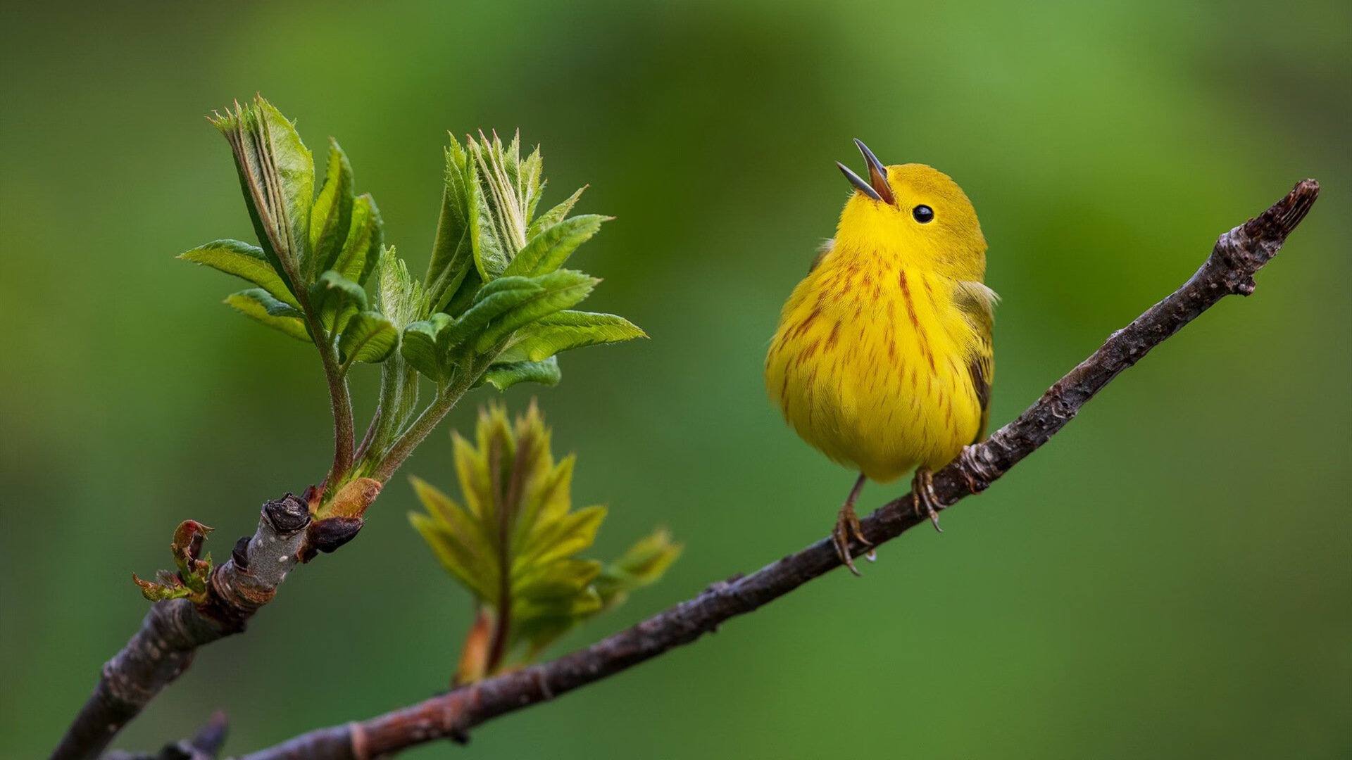 开云体育app在线-中国短跑队赛前封闭集训重视心理调适