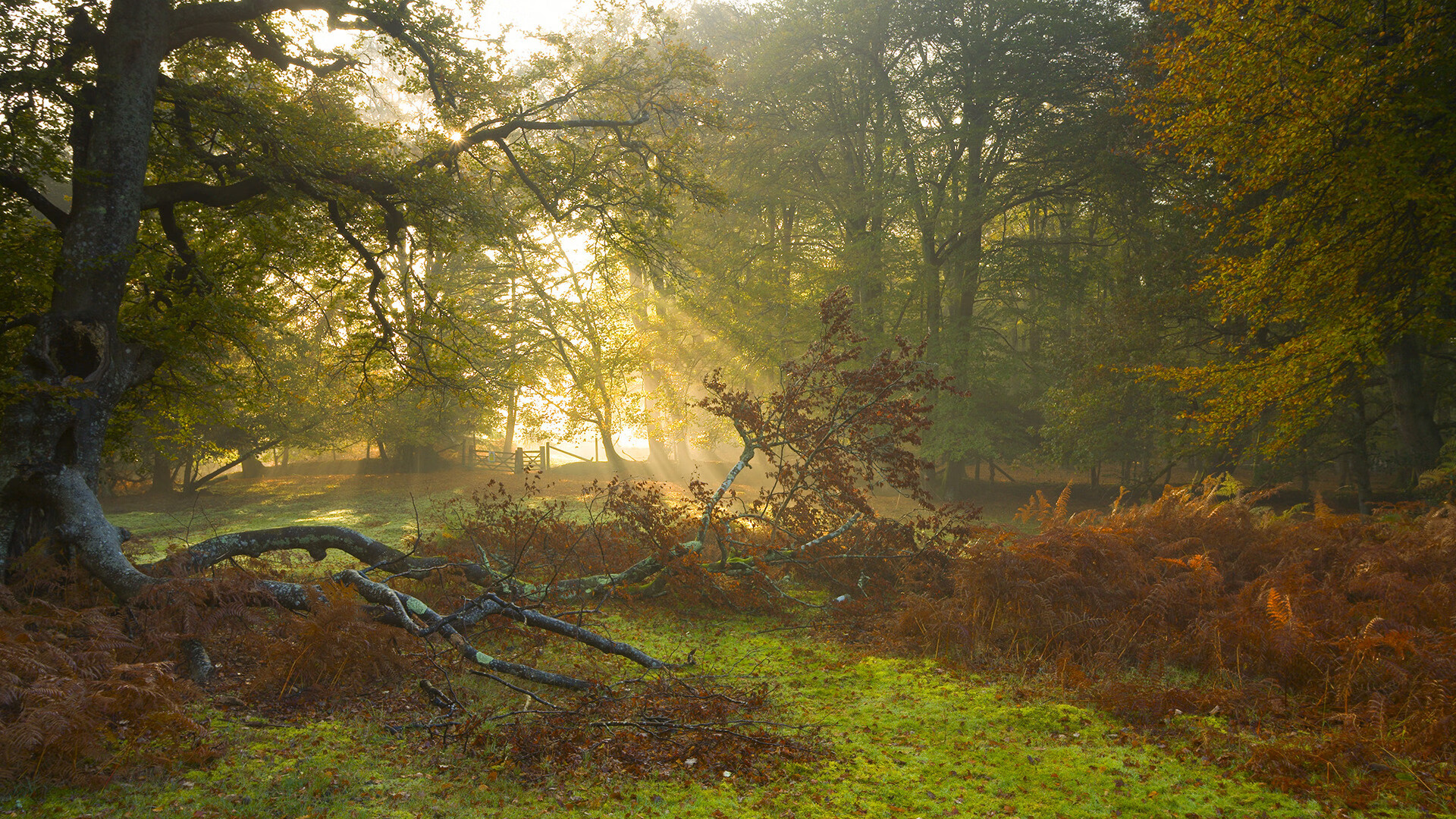 开yun官网-全国校园篮球挑战赛总决赛激烈对抗，全国篮校杯