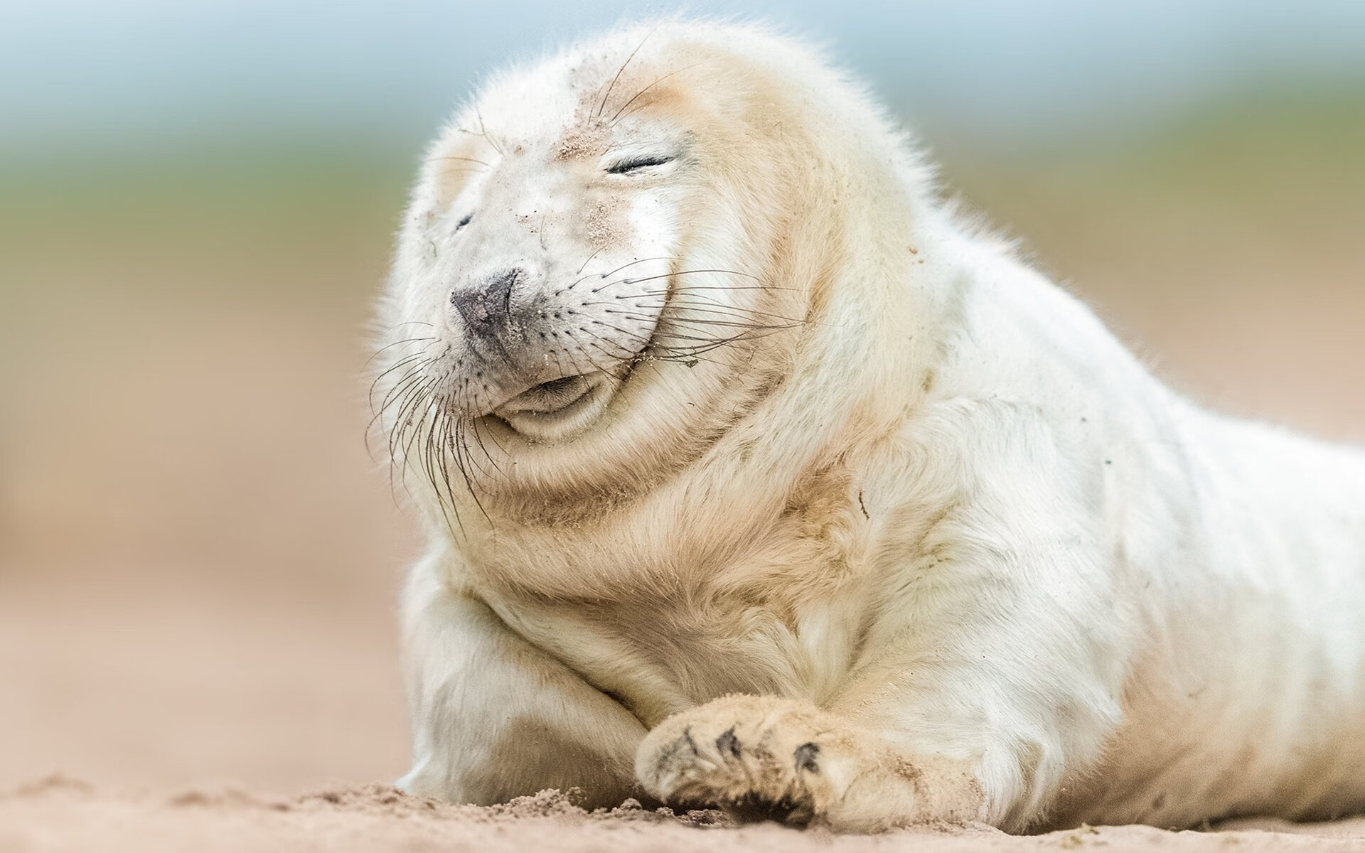 男队集训成果显现，男篮集训大名单