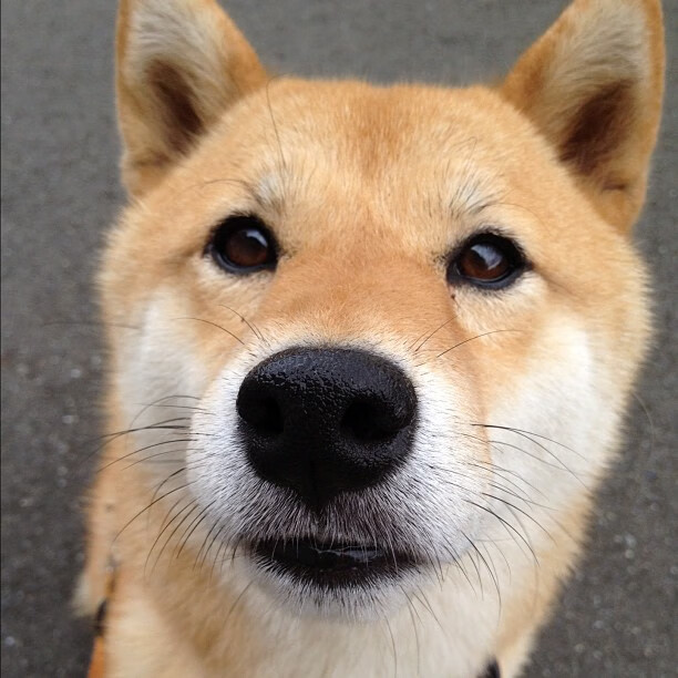 C罗社交平台晒训练照回应质疑，c罗的社交平台