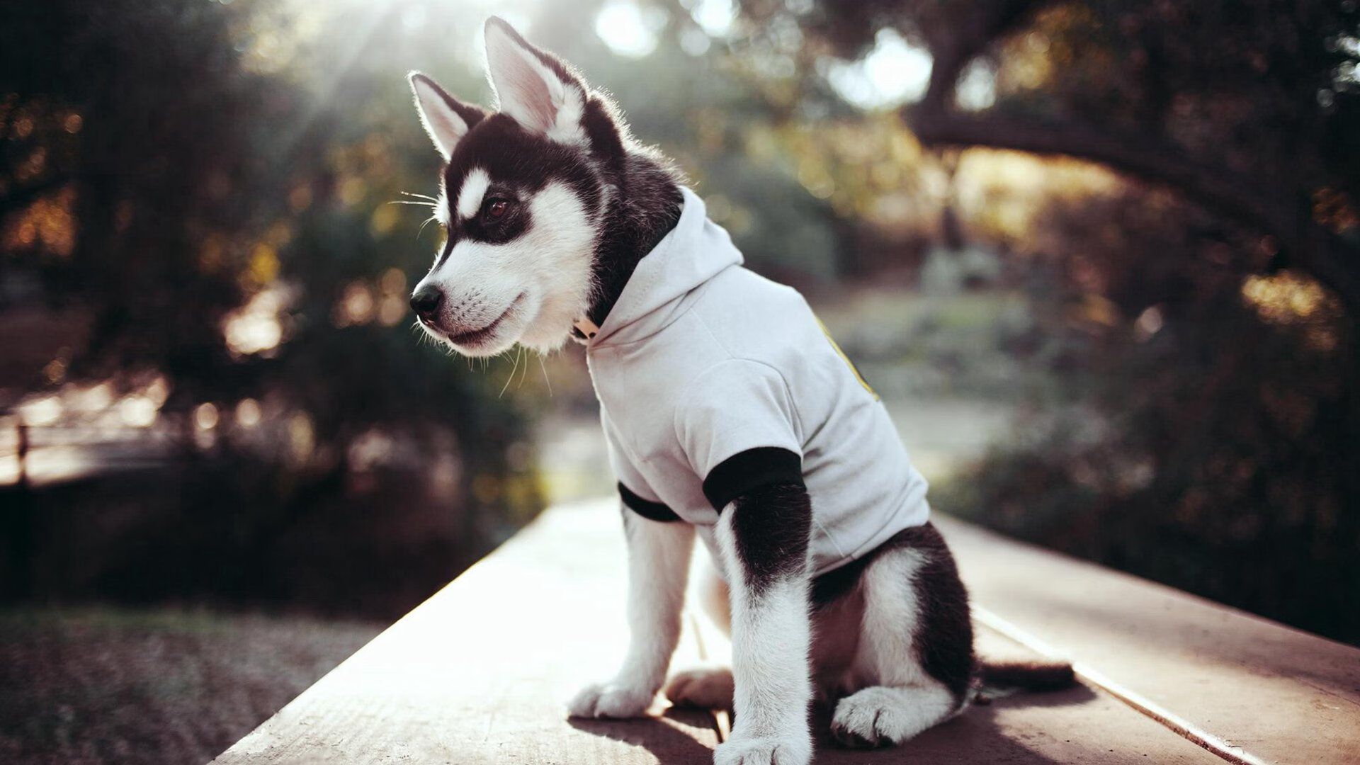 开云在线登入-中国足球青训营推广以比赛为核心的训练法，中国的足球青训体系