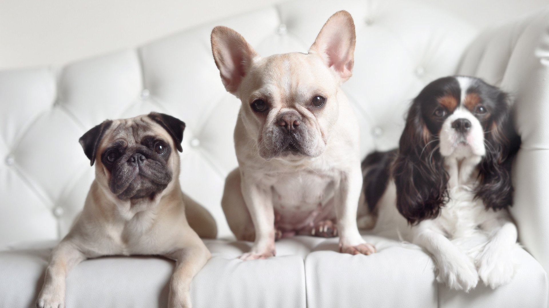 库里透露赛前例行仪式有助放松,库里赛场表现