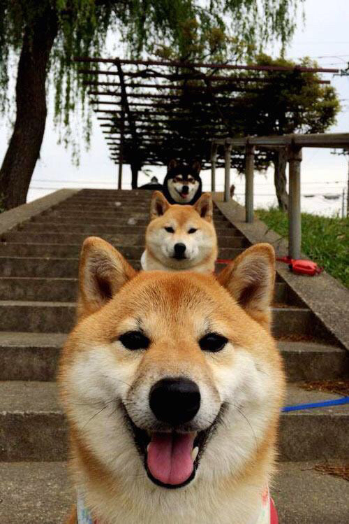 开云体育官网在线-未来足球场馆实现全数字化智慧管理，提升运营效率，足球场馆的产业链分析