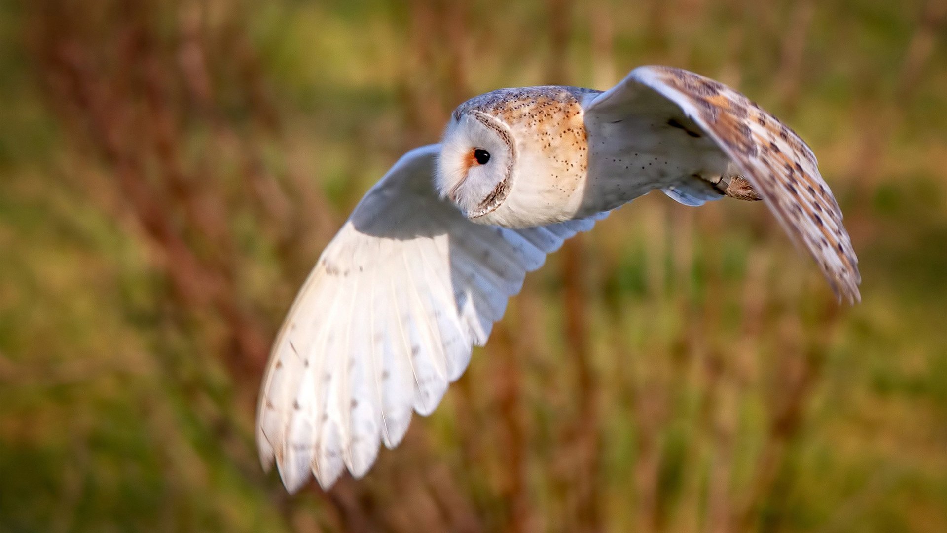 开云官网-游泳比赛中节奏控制意识强化，游泳节奏视频教学