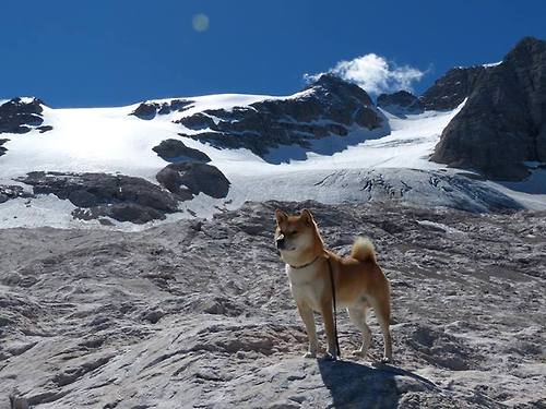 皮特·斯图斯:极具爆发力的防守能力,让南非队难以被攻破,斯图尔特·皮尔斯