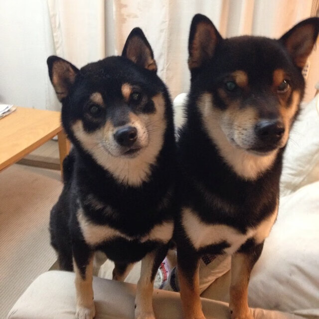 开云体育官网下载-职业联赛推出球员形象包装计划拓展商业价值，球员包是什么