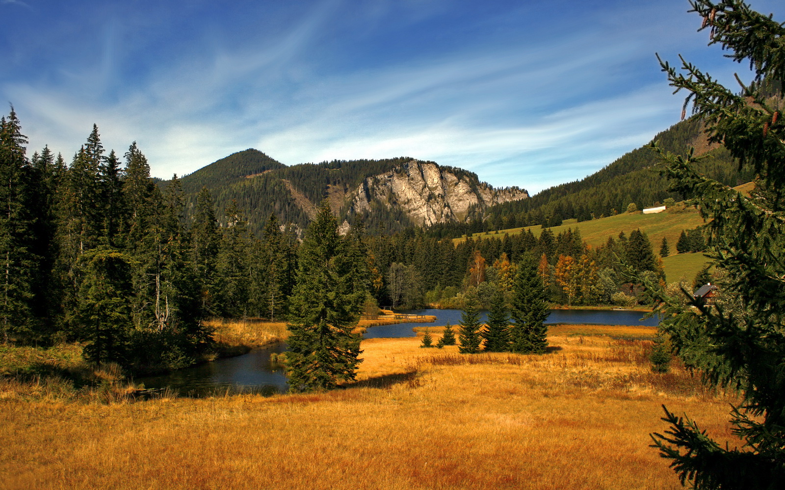 开云体育在线登入-鲁索与基尼决赛配合默契引爆现场，鲁索提尼