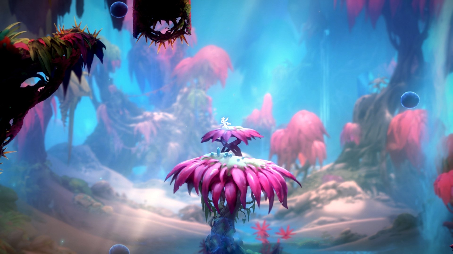 Palmer成为切尔西未来核心球员目标，切尔西俱乐部球员